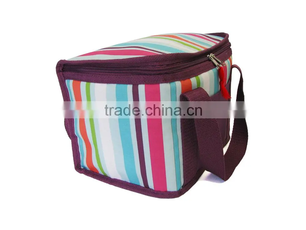 Lunch Cooler Bag