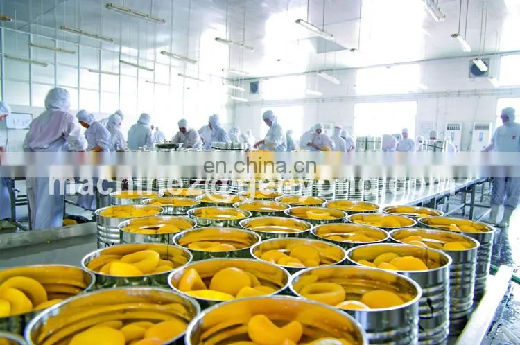 Custom made canning fruit plant with high quality