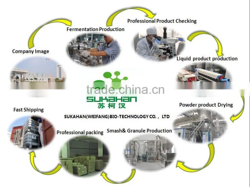Biological product to remove toilet smell and pipeline smell