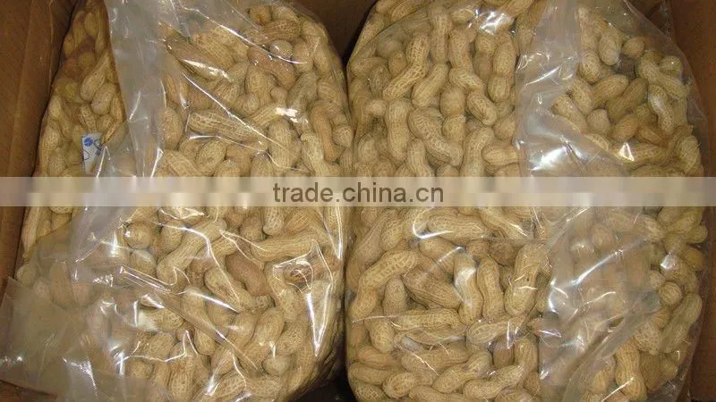 Best Price Roasted Peanuts Inshell