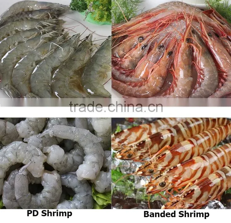 Frozen vannamei shrimp meat (PD)