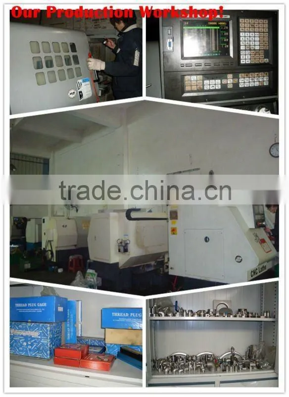 male stainless steel plug