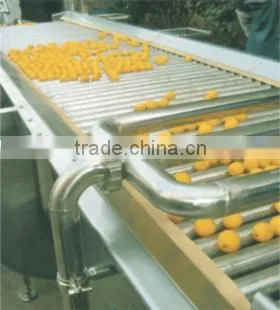 Fruit Juice production line