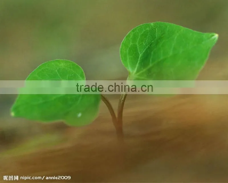 agriculture super Absorbent Polymer (SAP) used for agriculture