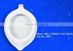 toilet bidet