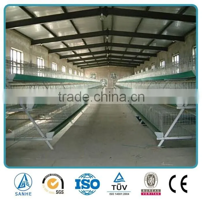 Steel Structure Chicken house