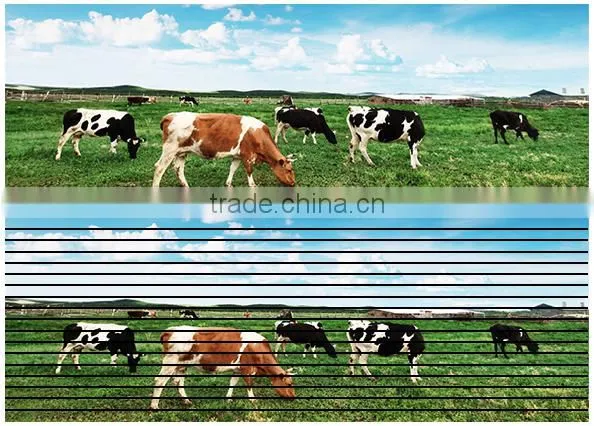 Video Display Function and 7.62mm Pixels led television