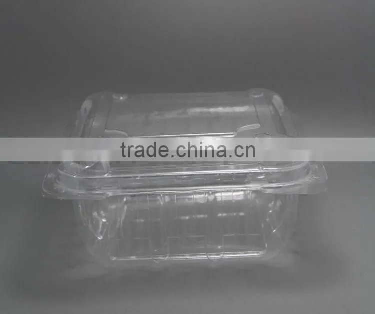 Disposable PET Clear Container, Plastic Snap