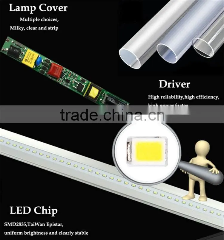Factory directly selling cool white 18w 1200mm base 2835 led tube light