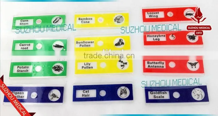 Plastic Prepared Slide Set of 12 for children microscope