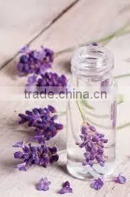 lavender essential Oil from Borg Export