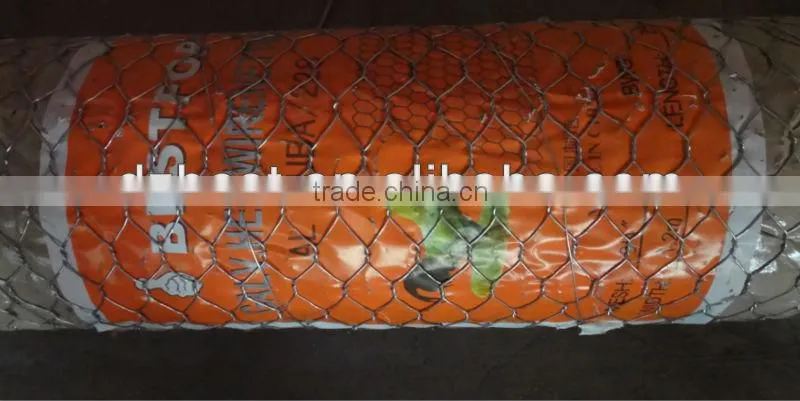 lowest price galvanized hexagonal wire mesh for chicken