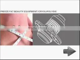 Mini slimming beauty equipment cryolipolysis body shaping machine