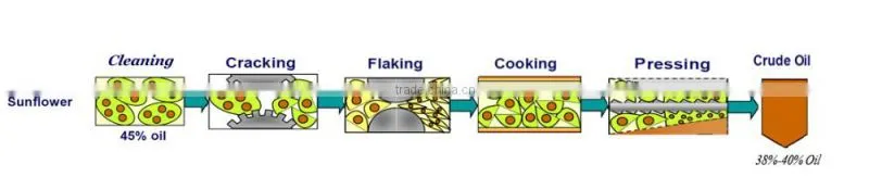 Sunflower Oil Extraction Machine
