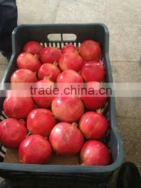 Fresh Pomegranate 2015
