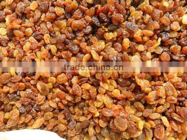 Dried Raisins