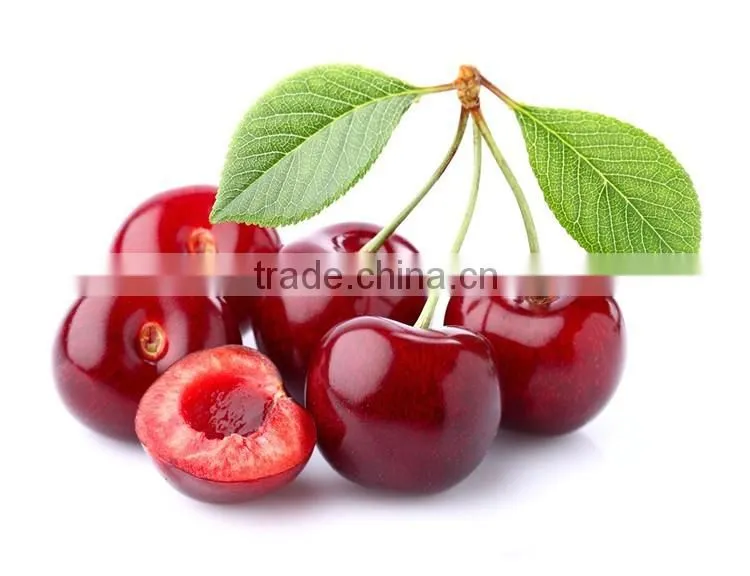 Cherry seedling