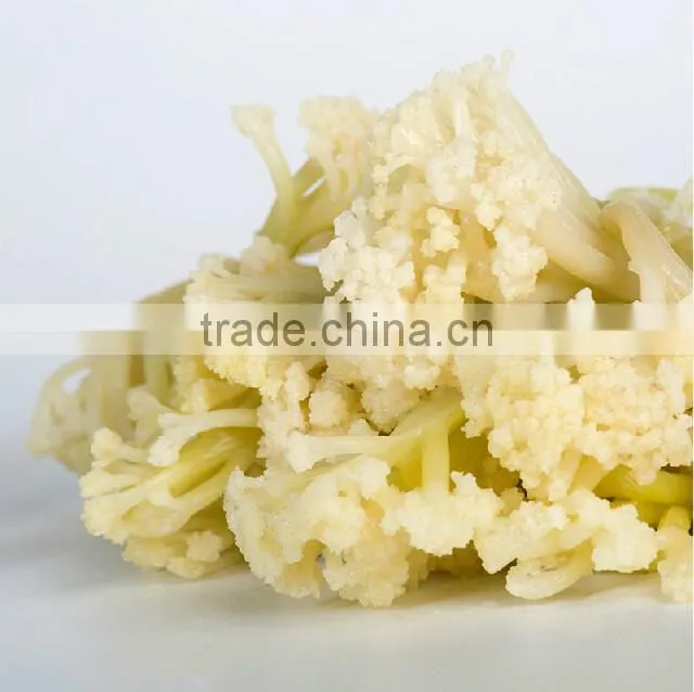 China wholesale Broccoli, Broccoli powder,Dried Broccoli best selling products in europe