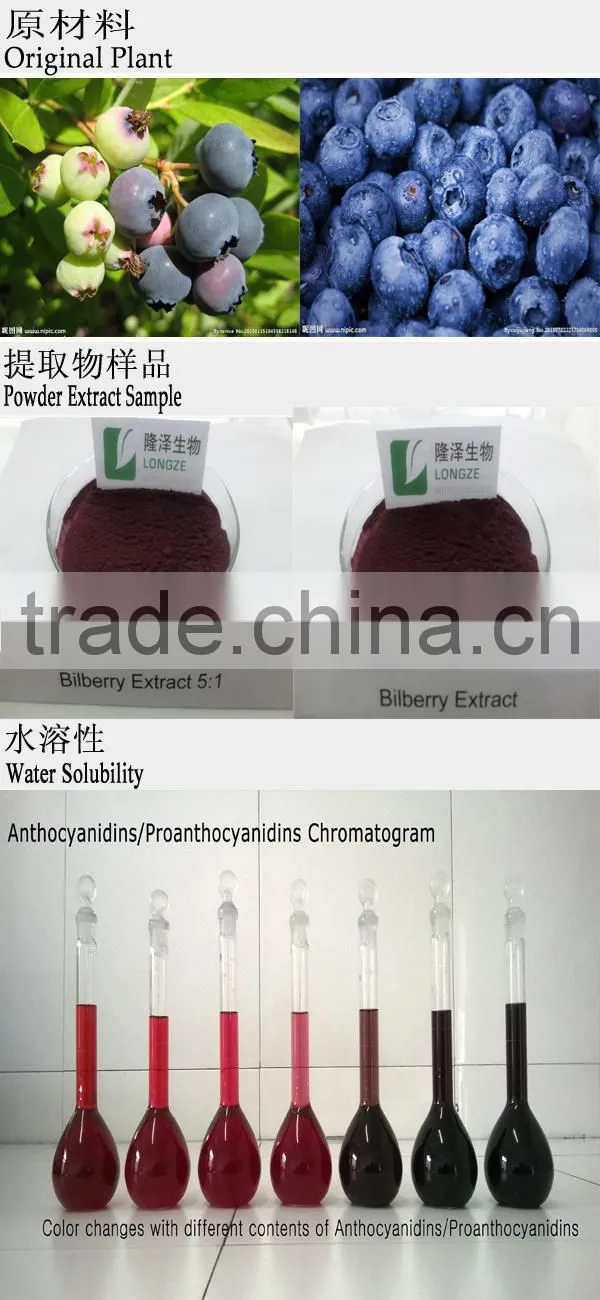 100% Natural Bilberry extract dried fruit powder with 25% anthocyanidins medicine use