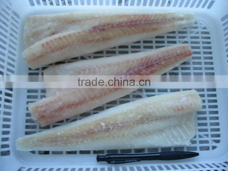 Wholesale New Frozen IQF Alaska Pollock Fillet With Good Price