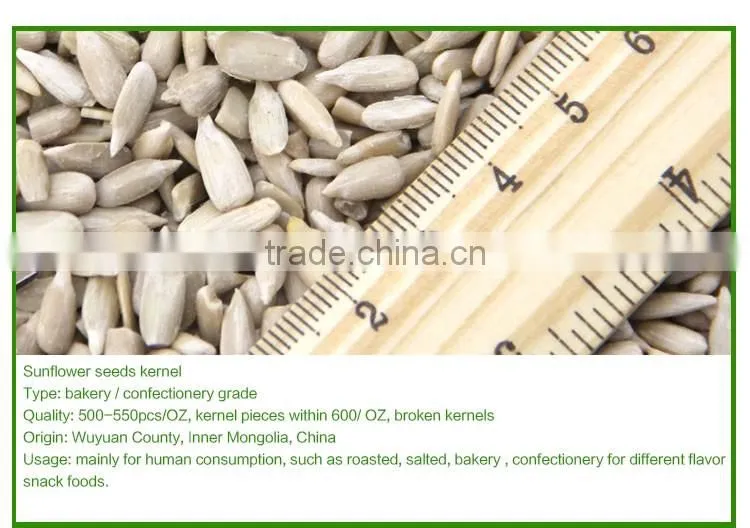chinese bakery sunflower seeds kernel hot sale
