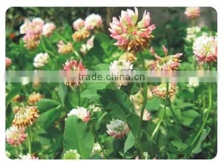 grass seed spraying machine for landscaping