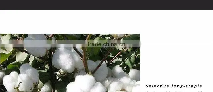 Strong Washing Line 100% Cutton 4 Strands Twisted Rope 10M