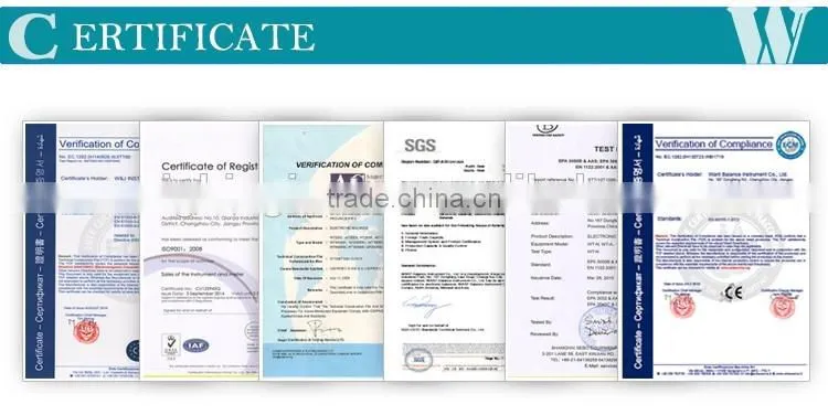 Analysis Instruments OIML passed weight