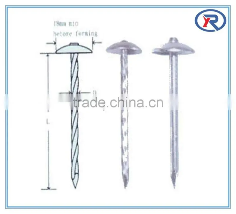 Umbrella head roofing nails and construction nails