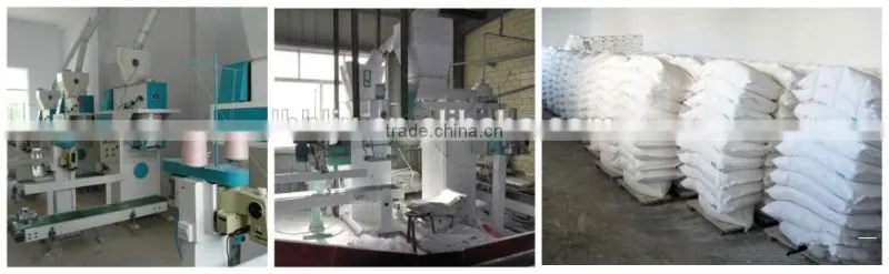 mini maize wheat flour mill processing plant from factory price