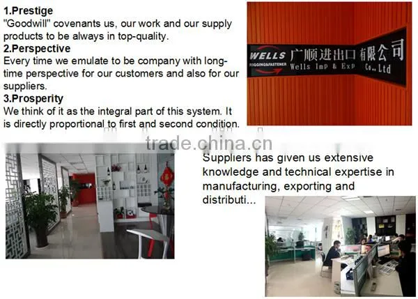 alibaba express 12mm pvc coated steel wire rope sling price hoist
