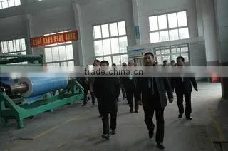 Hubei Jinlong New Materials Co., Ltd. company overview - view 3