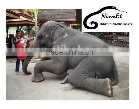 Wood Carved Elephant from Thailand
