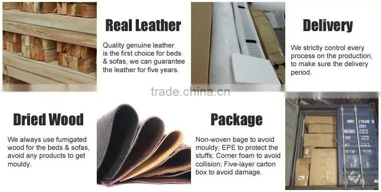 Fahsion S Shaped PU Leather Home Furniture Soft Bed