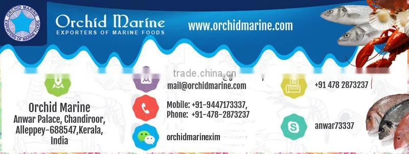Highly Nutritious Whole Round Yellowfin Tuna for Bulk Export
