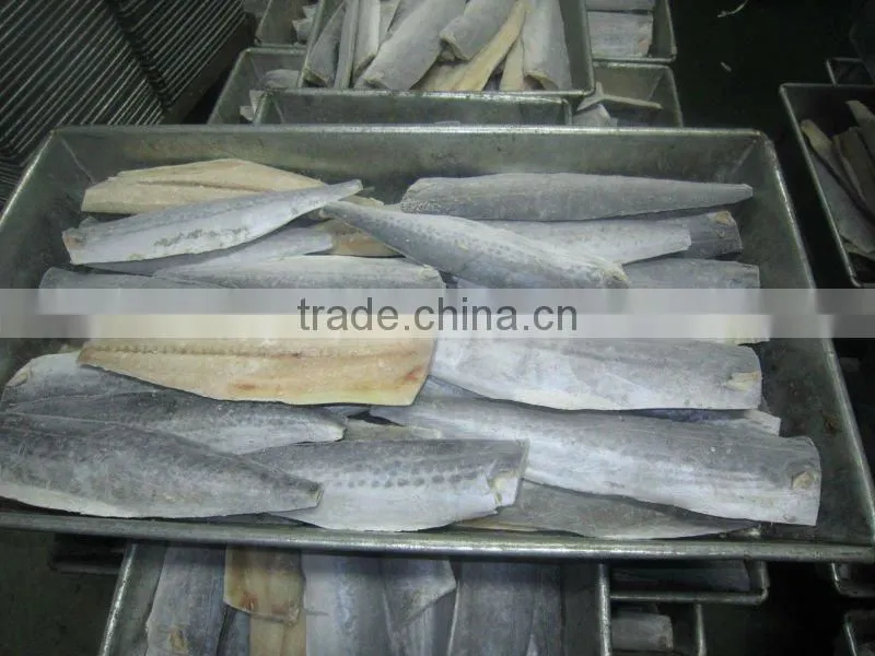 spanish mackerel fillet skin-on