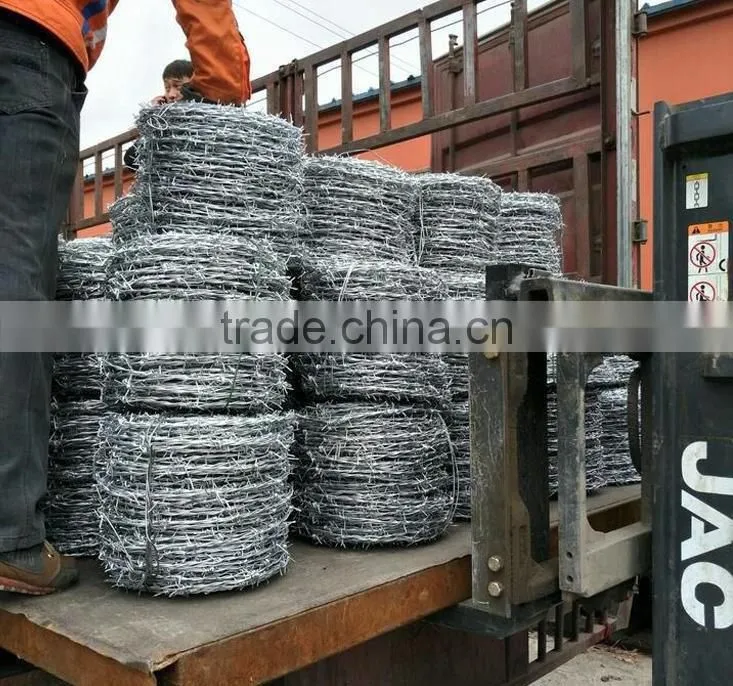 cheap price electro/hot dipped galvanized barbed wire