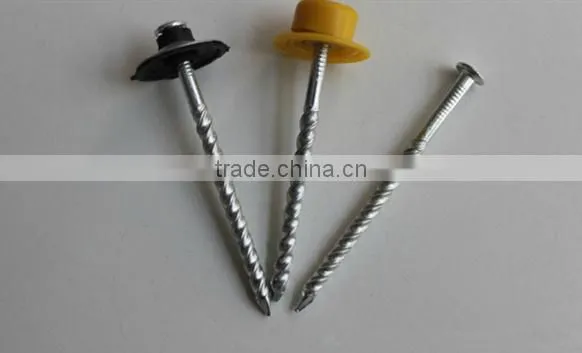 top quality galvanized twisted shank roofing nail screw nail with plastic cap
