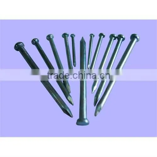 Polished iron nails common nails