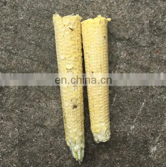 Trade Assurance Sweet Corn Sheller/Fresh Corn Threshing Machine/Fresh Corn Thresher