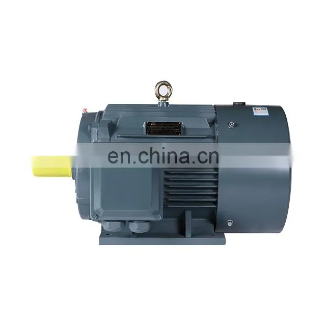 Hot selling 30kw 2955 rpm YE2 200L2-2 3-phase asynchronous water pump motor made in China