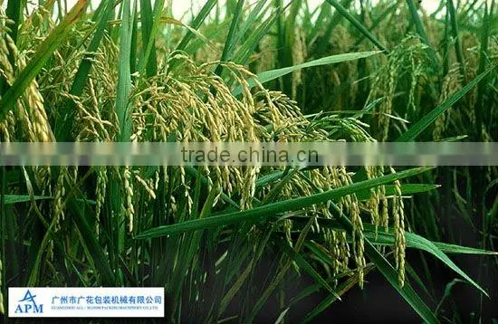 automatic rice filling and sealing machine