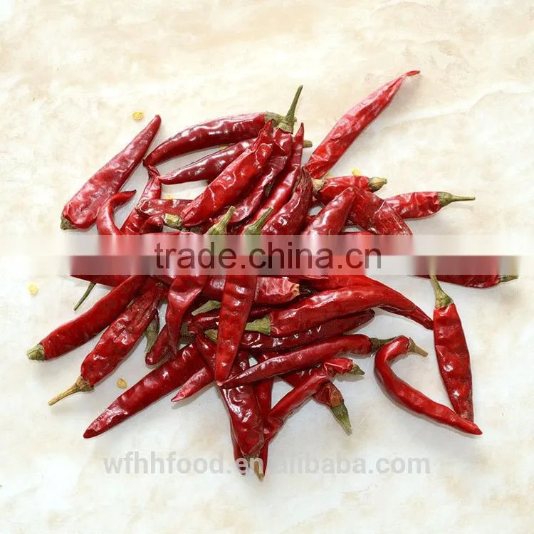 red chilli
