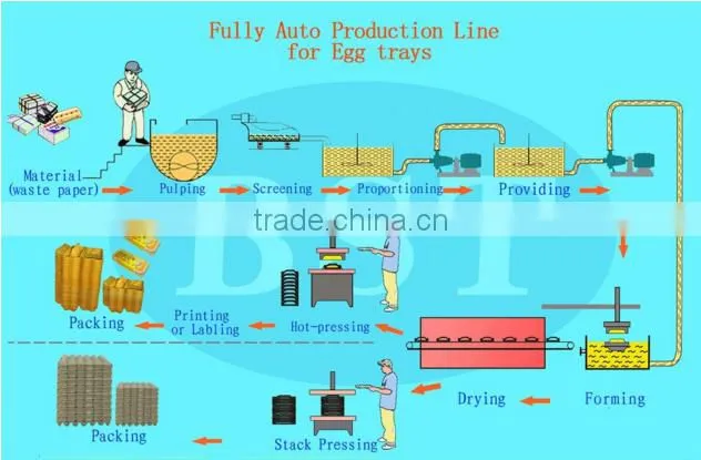 best selling automatic egg tray carton paper making machine