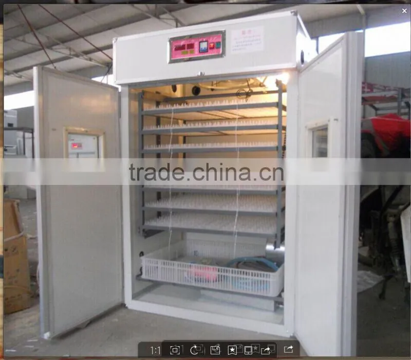 Long time working quail egg incubator/quail egg hatch machine