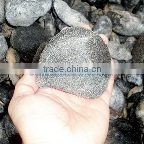 Ball Sea Cucumber Vietnam, Pingpong Fish, Holothuria Spp