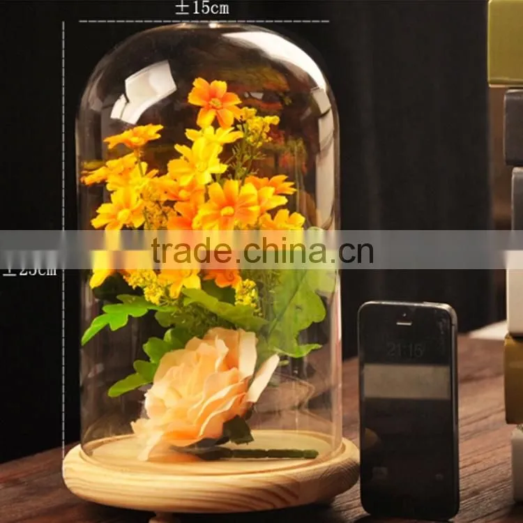 New hot sale mini dome cloches