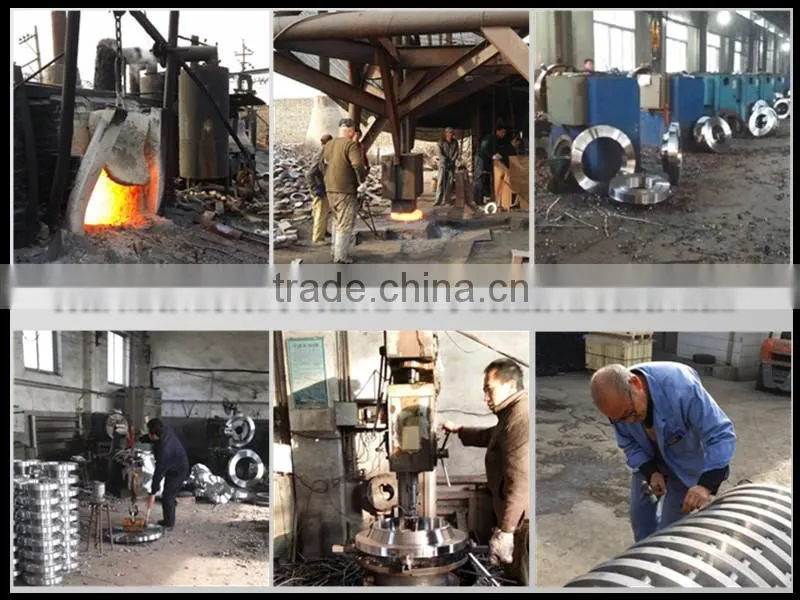 4 8 12 16 bore stainless steel blind BL ff rf BS10 table E flange