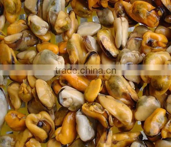 frozen boiled blue mussel meat 300-500