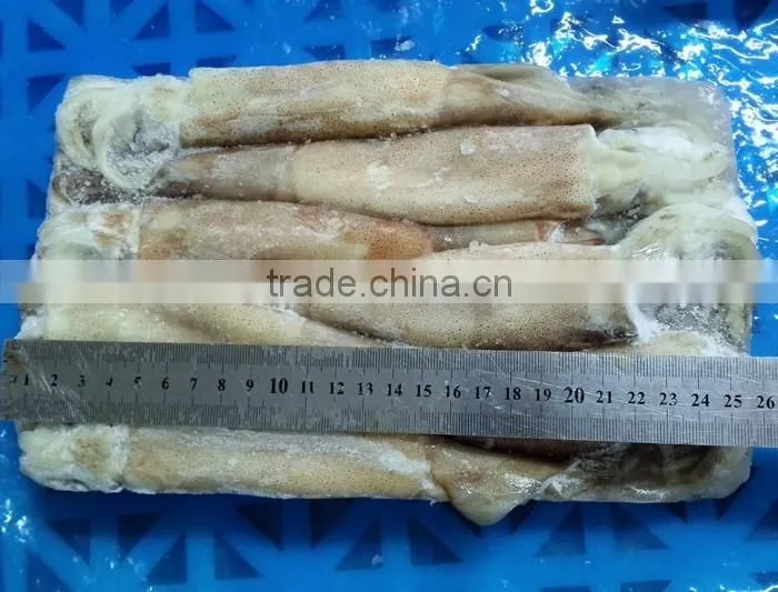 frozen squid tube todarodas pacificus